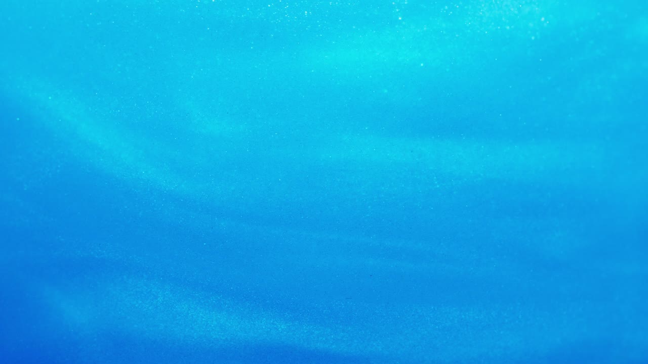 밝은 파란색 반이는 액체 회전