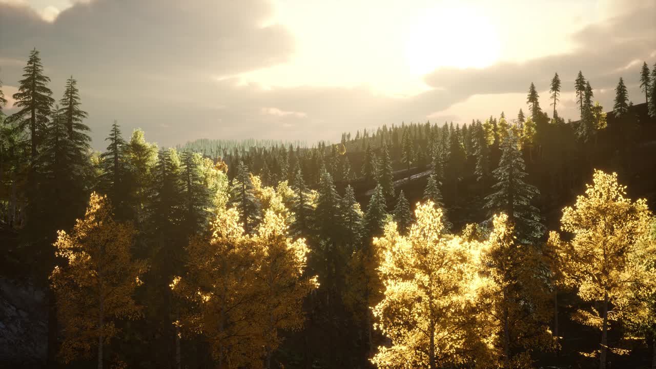 ⁇ 빛의 광선은 나 ⁇ 가지를 통해 그들의 길을