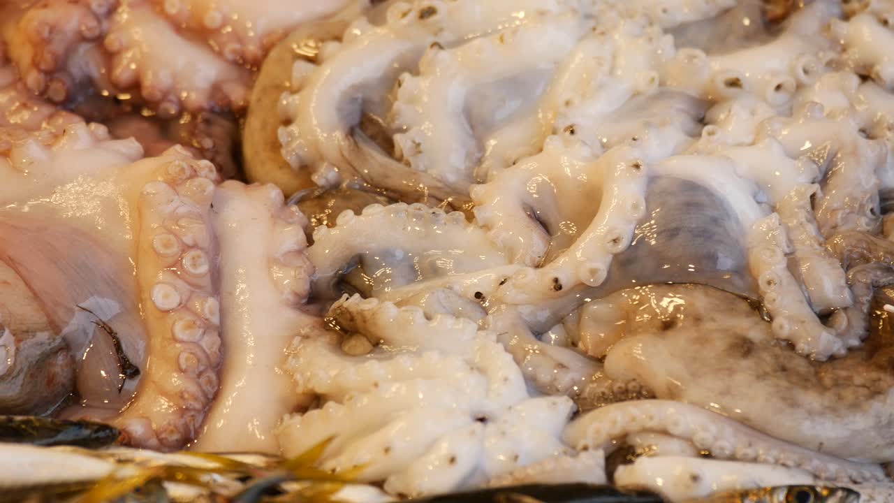 생선 시장 에서 신선 한 문어