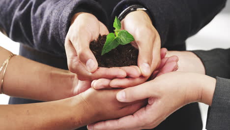 Hands,-plant-and-collaboration-with-a-business