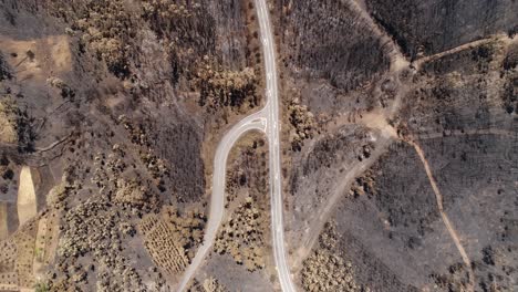 damaged forest road after fire aerial view