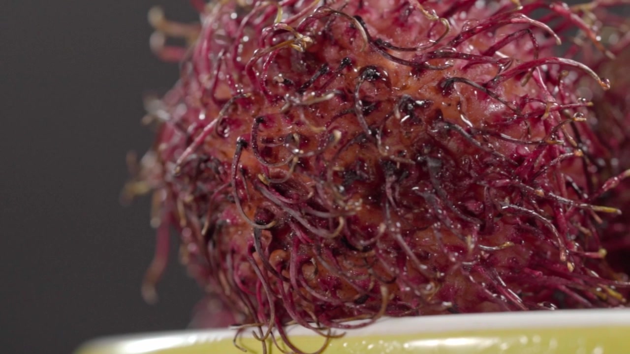 Panning shot reveals fresh rambutan fruit with hairy red skin and detailed natural texture. Macro view highlights its unusual surface and rich color in Mexico.