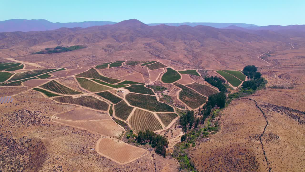toma de establecimiento de una gran producción de viñedos dentro de fray jorge, valle de limari, chile