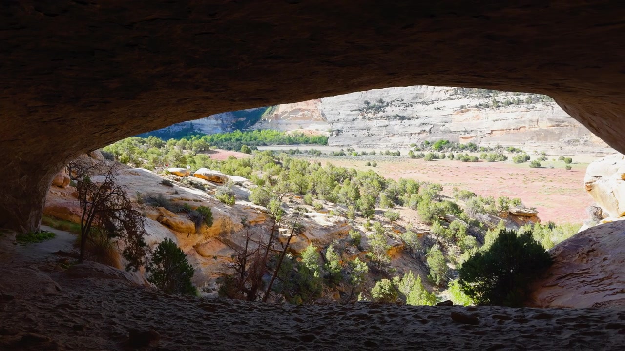 Nicchia della Grotta della Firma, apertura di un riparo roccioso che incornicia un paesaggio canyon con terreno stratificato e vegetazione, con panoramica a destra.