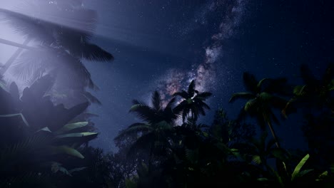 4K-Astro-of-Milky-Way-Galaxy-over-Tropical-Rainforest.