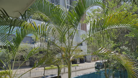 tropical plants in front of modern residential building in hong kong city during sunny day