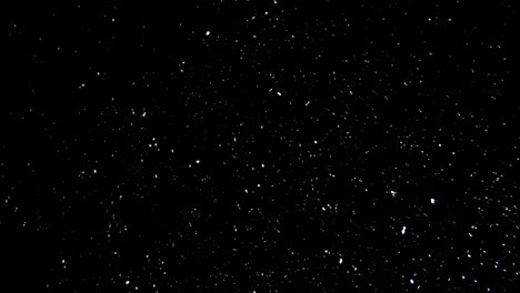 live snow