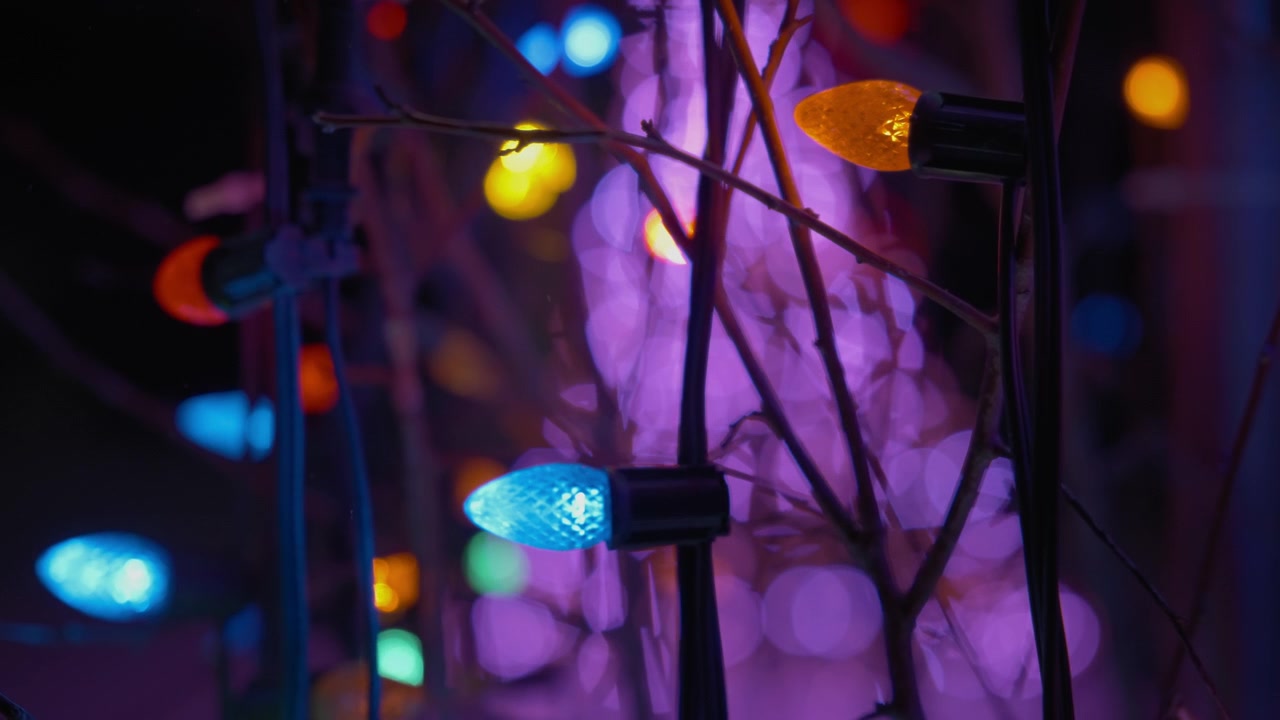 Close up of colorful garland lights