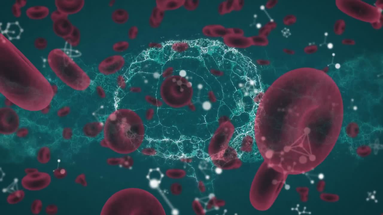 인간의 뇌를 회전시키는 코로나19 세포의 애니메이션