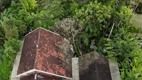 Tropisches-Resort-Mit-Unterkünften-Auf-Der-Insel-Bali,-Indonesien