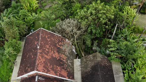 resort tropical con alojamiento en la isla en bali, indonesia