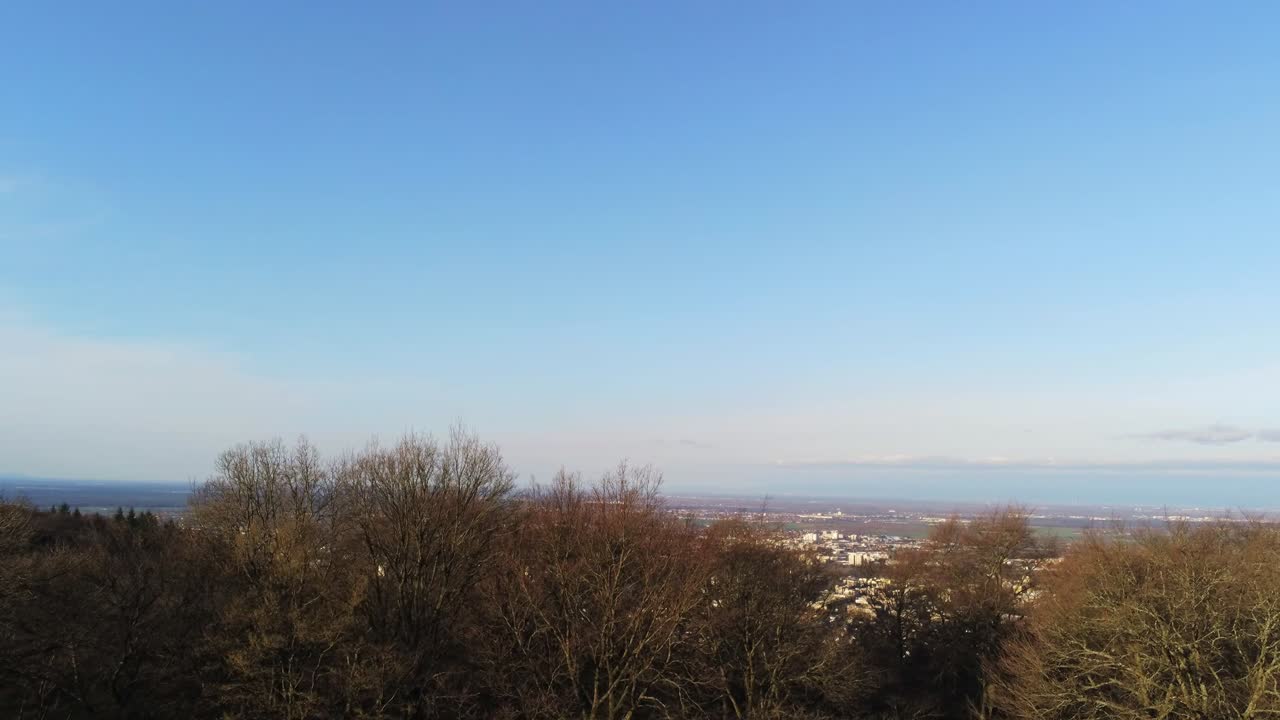 독일 하이델베르크에서 일출 동안 나무 꼭대기 위로 패닝