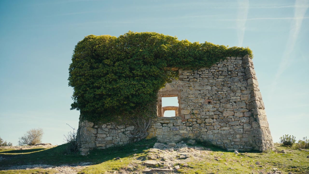 Las ruinas de La Mussara en Cataluña, España, se alzan bajo una tranquila luz solar con piedra erosionada, ventanas vacías y densa vegetación, reforzando la antigüedad y el pasado abandonado del lugar.