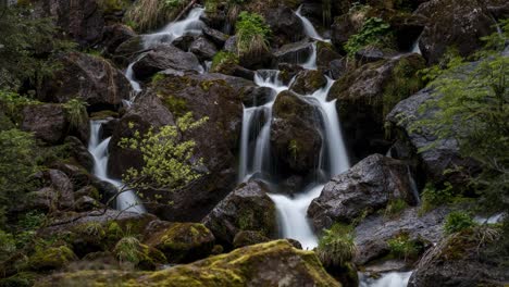 waterfall with long-term illumination in the forests of the swiss alps, set in a beautiful natural landscape. water is milky and nature is in bloom in the forest. the moss and biodiversity are unique.