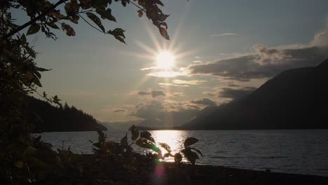 hermosa puesta de sol en un lago con playa y ramas en primer plano
