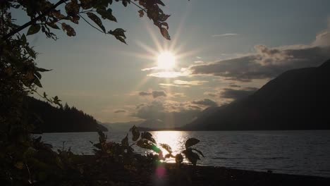 beautiful sunset on a lake with beach and branches in foreground