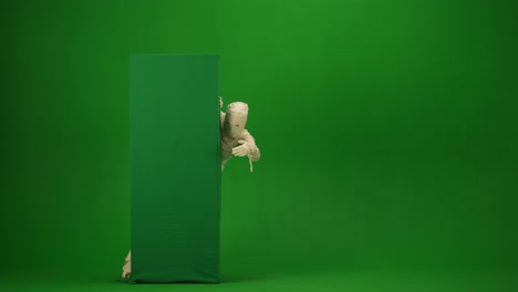 green screen isolated chroma key video capturing a mummy dancing and singing actively into the