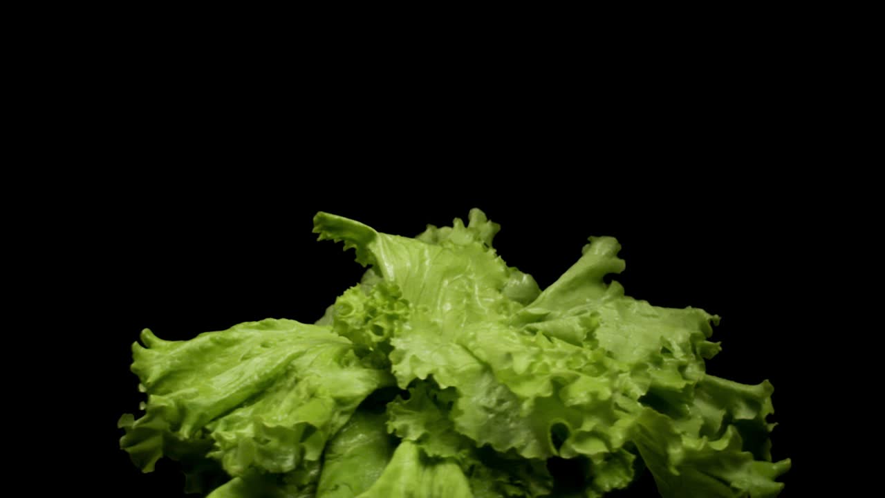 lechuga fresca
