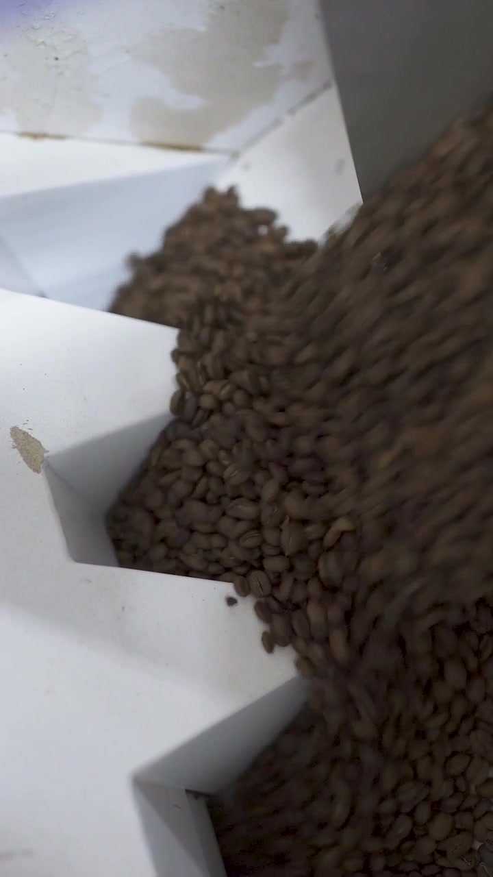 chilean coffee beans roasting cafe espresso specialty barista morning brew