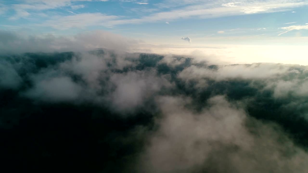 Drone timelapse through moving clouds above forest