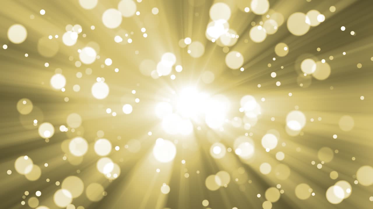 아름다운 보케, 비디오 루프