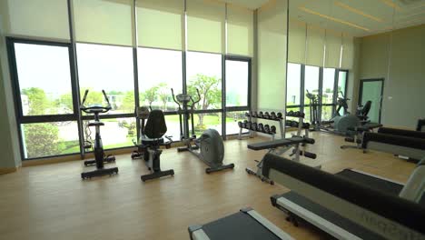 garden view fitness center with full equipment, no people