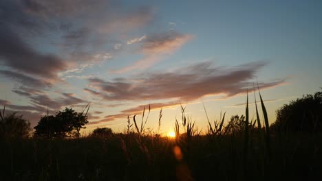 puesta de sol marcando el final del día en el bosque de handewitter alemania lapso de tiempo