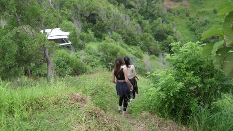 hikers on a mountain trail