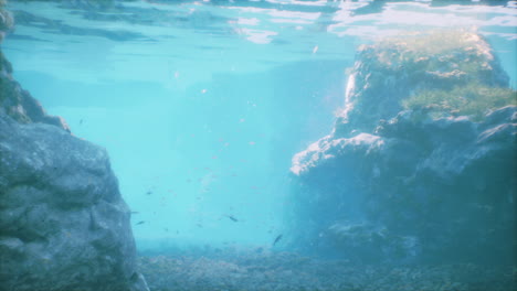 a beautiful underwater scene with clear blue water, fish swimming around coral reefs and rocks