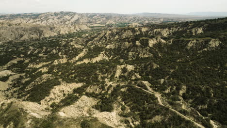 Vashlovani-nature-reserve-in-Georgia-with-bushes-and-rocky-hills