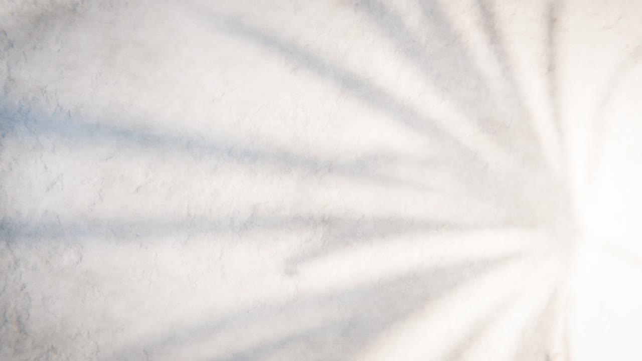 Sunlight and Palm Leaf Shadows Moving on a Textured Wall