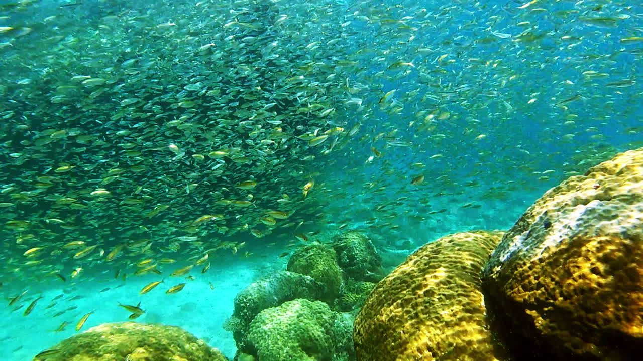 cada vez que entro en el océano, voy a casa.