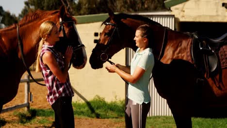 Friends-standing-with-their-horse-interacting-with-each-other-4k