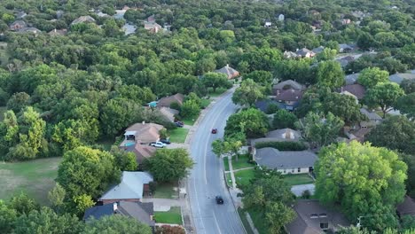 car-driving-through-roads-in-the-forest