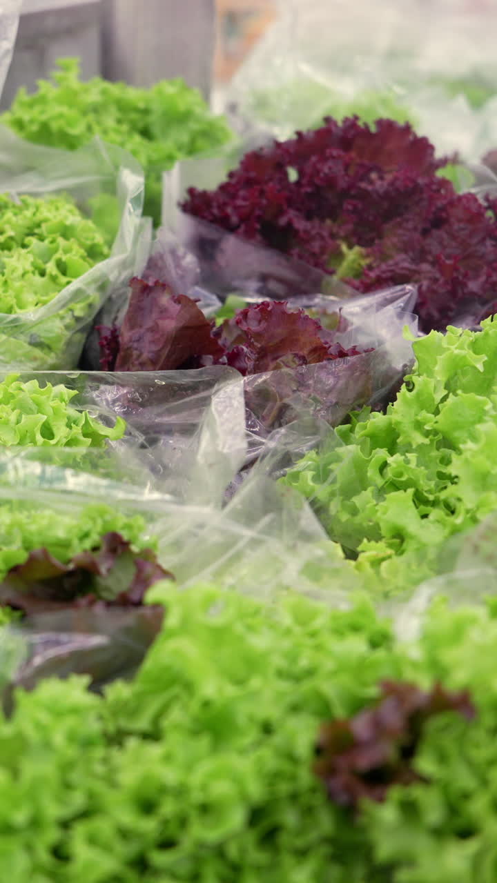A vibrant vertical video showcasing a variety of fresh, colorful lettuce leaves in clear bags, captured in natural light. Perfect for mobile and social media content