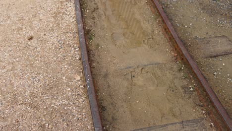 rusty tracks on a dirt path