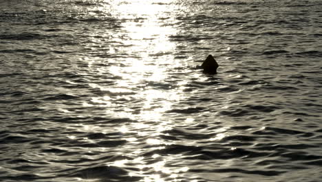 ocean surface sunset reflection, top to bottom frame fill, 4k