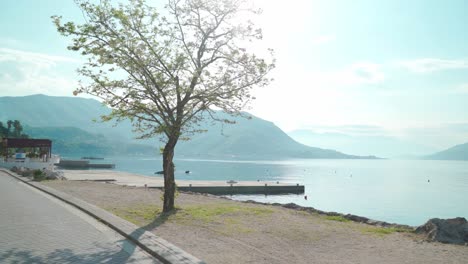 beautiful view of the sea bay and mountains on a wonderful summer sunny day