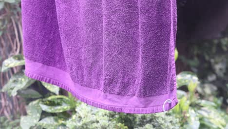 puple-towel-blowing-in-the-wind,-50-fps