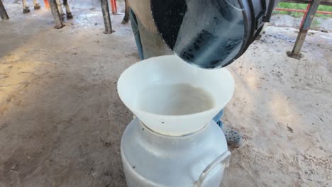 pouring fresh cow milk into a metal canister at a rustic outdoor farm