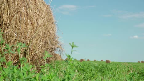 concepto de agricultura. balas de heno en un prado. campo rural en verano con balas de hino. dolly de bajo ángulo