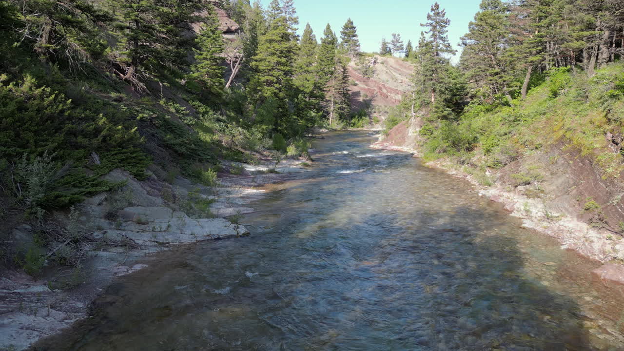 Discesa lungo un fiume che scorre in una foresta sempreverde nel tardo pomeriggio - Drone 4K