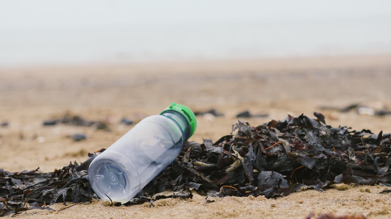 Plastic Bottle Resting on Seaweed After Being Washed Ashore After High Tide. Littered Waste Causing Pollution After Consumer Left Behind Trash. Impact on Surrounding Natural Environment