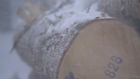 birch cut log being buffeted under swedish harsh winter snowstorm - detail close up shot