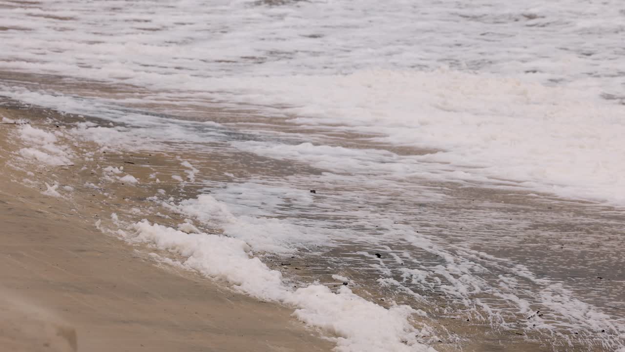 강력한 파도가 사이클론 중에 모래 해변에 부히며 자연의 힘과 격동의 바다 환경을 보여줍니다.