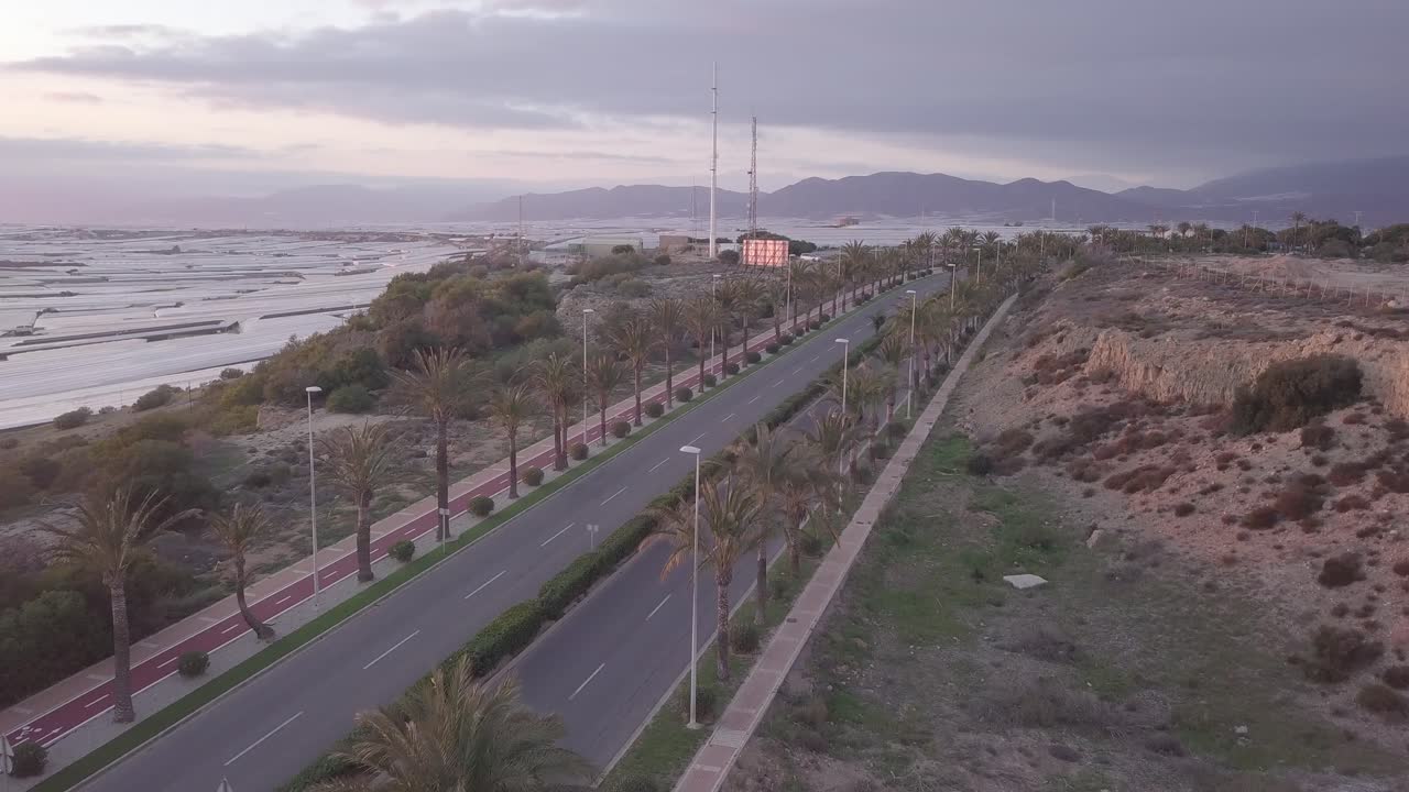 Aerial view of a road with palm trees and greenhouses
