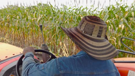 farmer driving tractor in cornfield