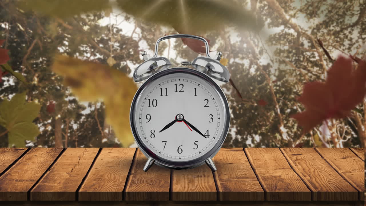 reloj contra el bosque de otoño brillante 4k