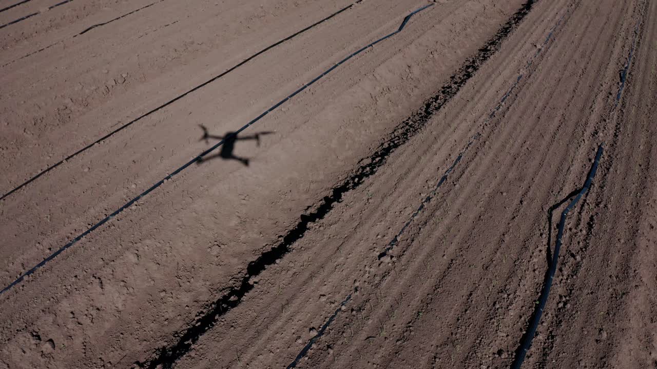 el rociador de drones vuela sobre el campo agrícola. drones agrícolas para rociar fertilizantes. agricultura inteligente y agricultura de precisión