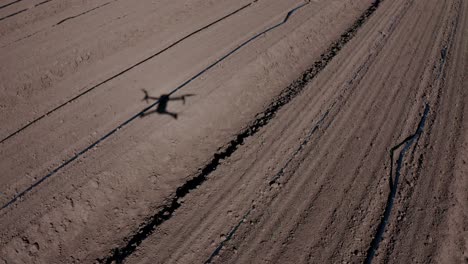 drone sprayer flies over the agricultural field. agriculture drone for spraying fertilizer. smart farming and precision agriculture